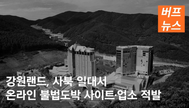 강원랜드, 사북 일대서 온라인 불법도박 사이트·업소 적발