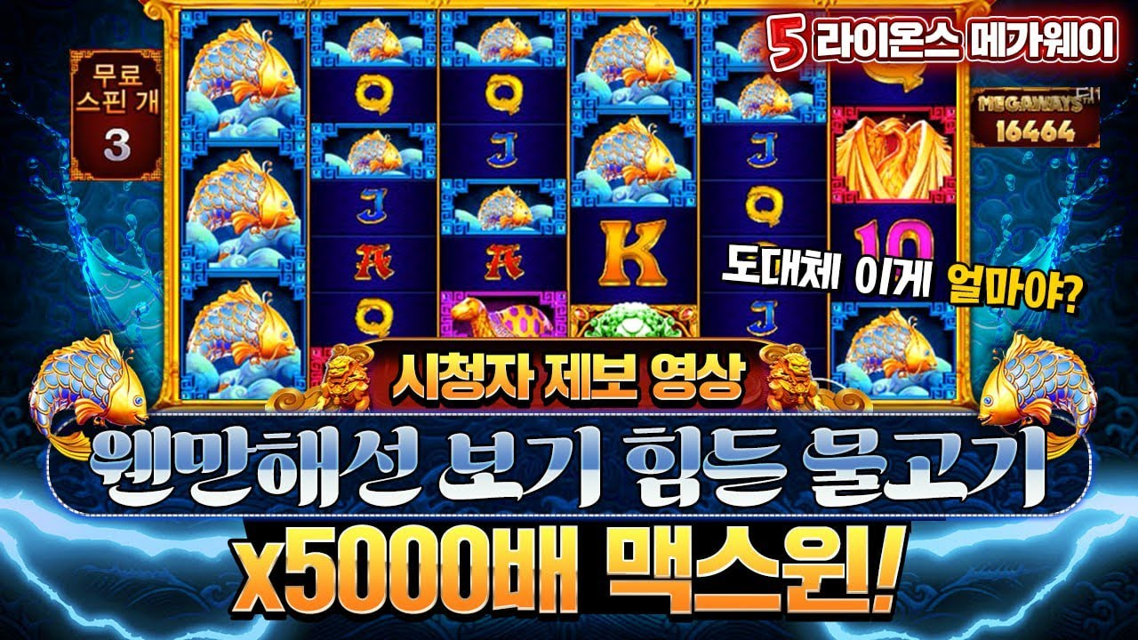 에그벳/eggc슬롯, 어떻게 하면 더 잘 맞을까? [젊은 주부 71원으로 슬롯머신에서 5억 대박!][에그벳/eggc슬롯]